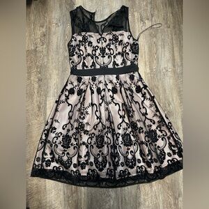 Elegant Black and Cream Dress